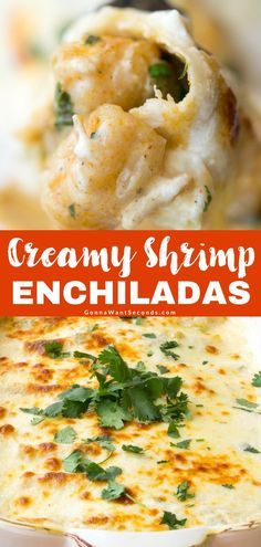 creamy shrimp enchiladas are the perfect appetizer for any occasion