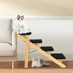 Multi-Purpose Wooden Pet Stairs & Ramp - 4-Level Design for Cats and Dogs - Wnkrs High Places, Pet Stairs, Slip And Fall, Senior Dog, Cozy Apartment, Fall For You, Cats And Dogs, For Cats, The Gift