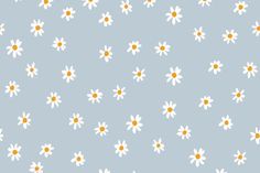 white and yellow daisies on a blue background