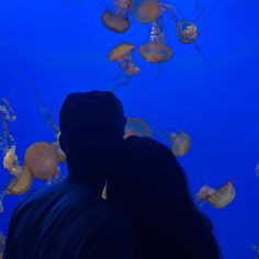 two people looking at jellyfish in an aquarium