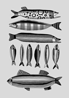 some fish are shown in black and white on a gray background, one is drawn by hand