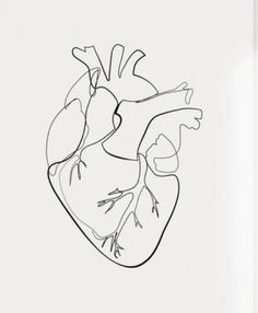 a black and white drawing of a human heart on a wall in a living room