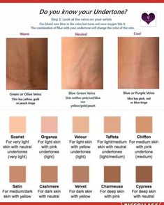 Different Undertones Skin, How To Know Your Skin Undertone, How To Know Undertone Skin, Foundation For Deep Winter, Colour Palette For Neutral Skin Tone, Best Foundation For Dark Skin, Cool Skin Tone Makeup Looks, Best Hair Colors For Neutral Skin Tones, Skin Undertones How To Tell