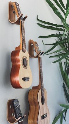 two ukuleles are hanging on the wall next to a potted green plant