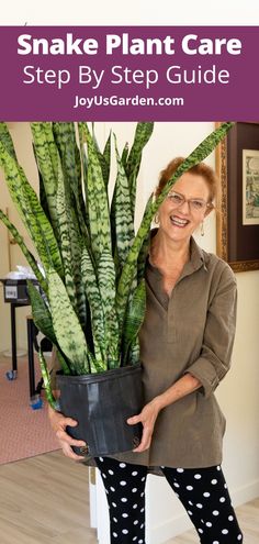 a woman holding a potted plant with the words snake plant care step by step guide