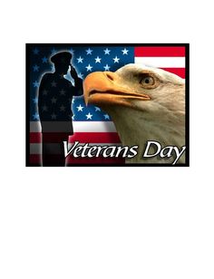 an american flag with the silhouette of a soldier and an eagle in front of it