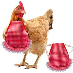 a chicken with a red and white checkered apron on it's back, standing next to an oven mitt