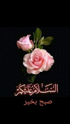 two pink roses with arabic writing in the background