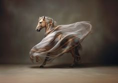 a horse that is standing in the middle of a room with a long dress on it's body