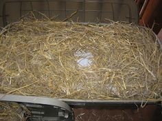 the inside of a truck filled with hay