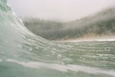 an ocean wave with trees in the background