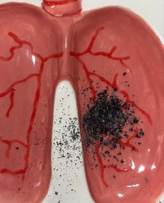 the lungs are filled with black stuff and dirt on top of eachother's stomach