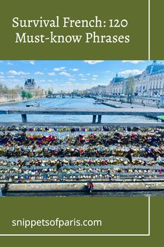 the pont de la bougre in paris with text overlay saying survival french 120 must - know phrases