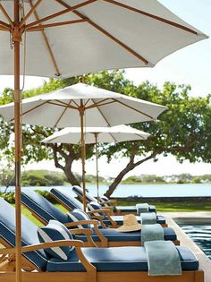 lounge chairs and umbrellas are lined up by the pool