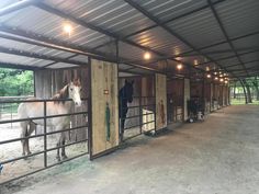 two horses are standing in their stalls at the stables