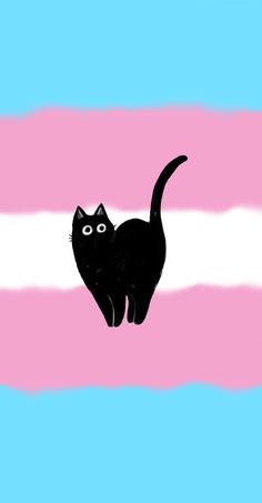 a black cat standing on top of a pink and blue background