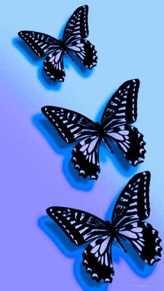 three black and white butterflies flying in the air on a pink and blue background with space for text