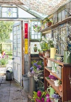 a room filled with lots of potted plants next to a wooden shelf covered in flowers