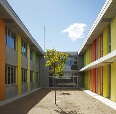 an empty courtyard with multicolored walls and trees in the foreground, on a sunny day