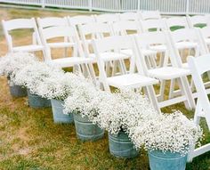 rows of white plastic chairs with baby's breath flowers in buckets on the grass