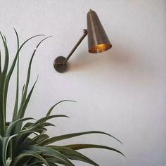 a wall mounted lamp next to a potted plant on the side of a white wall