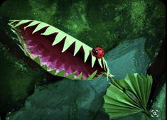 a ladybug sitting on top of a green leaf next to a red umbrella