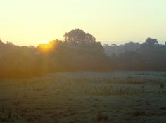 the sun is setting over an open field with trees in the backgrouds