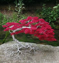 Handmade aluminum wire bonsai 120 aluminum wire for trunk 120 sheets 25cm high 35cm wide Possibility of making personalized orders: dimensions, colors, shape. Free shipping in France Aluminum Wire Sculpture, Wire Tree Form, Wire Trees Price, Bonsai Making, Sculptures Sur Fil, Bonsai Tree Wire Sculpture, Copper Wire Bonsai Tree, Wire Bonsai, Wire Sculpture