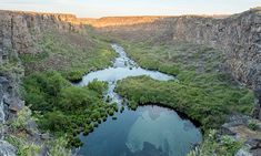 an aerial view of a river in the middle of a canyon with trees and bushes