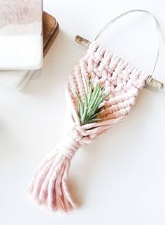 Macrame Air Plant Holder, Mini Macrame Plant Hanger, Plant Holder Macrame, Air Plant Wall, Plant Wall Hanging, Airplant Wall, Air Plant Hanger