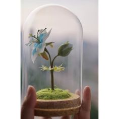 a hand holding a fake flower in a glass dome with moss and flowers on it