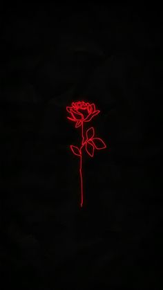 #wallpapers #red #rose #neon #обои Iphone Wallpapers Hd, Blood Wallpaper, Red Aesthetic Grunge, Red And Black Wallpaper, Red Roses Wallpaper, Wallpapers Ipad, Dark Red Wallpaper, Neon Rose, Ipad Wallpapers