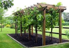 a garden area with several wooden structures and plants growing on the ground in front of it