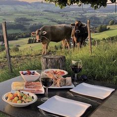 two cows standing on top of a lush green hillside next to a table filled with food