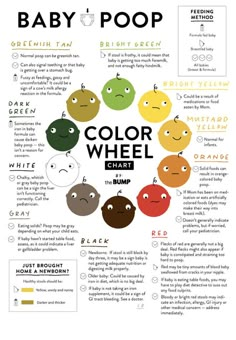 the baby poop color wheel chart shows different colors and emotions for babies to learn