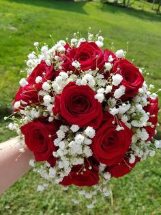 a person holding a bouquet of red roses and white baby's breath in their hand