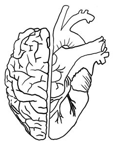 a black and white drawing of a human heart