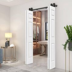 an open closet door in a white room with a blue couch and potted plant