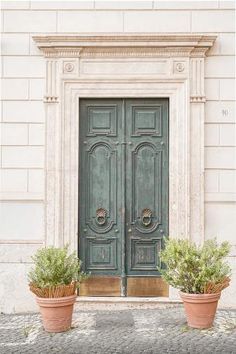 two potted plants sitting in front of a green door on the side of a building