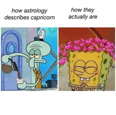 two cartoon pictures with caption saying how astrology describes capricon