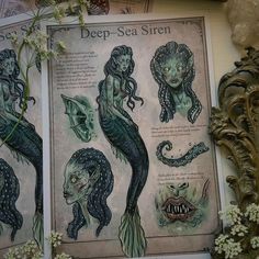 an old book with drawings of mermaids on it