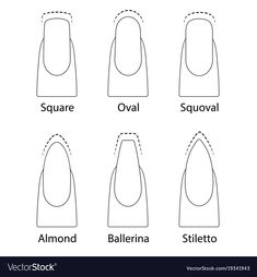 Set of nails shapes Royalty Free Vector Image VectorStock Printable Nail Art Templates, Nail Shape Chart, Square Oval Nails, Printable Nail Art, Nails Shapes, Nail Shapes Squoval, Business Nails, Nail Courses, Different Nail Shapes