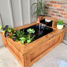 an outdoor water feature with plants in it