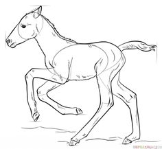 a horse that is running on the ground with its head turned to look like it's galloping