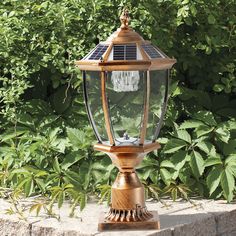 a lamp post with a solar panel on it in front of some bushes and trees