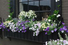 flowers are growing in the window boxes outside