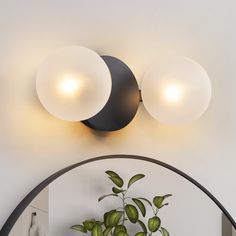 two light fixtures mounted on the wall above a potted plant