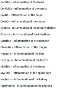 the names of different types of animals and their origins in each language, including an animal's name