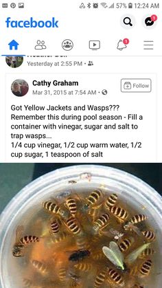 a cup filled with honeybees sitting on top of a counter next to a facebook post