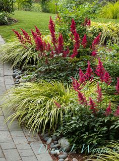 a garden with lots of plants and rocks on the ground, along with some flowers